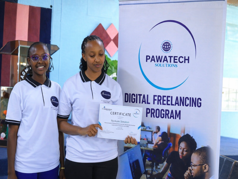 Digital Freelancing program (DFP)